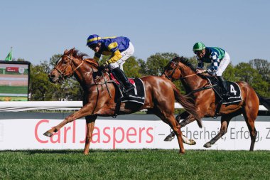 ALMANY, COLOGNE - 18 Nisan 2022: Atçılık FC-Renntag - Carl Jaspers Preis güneşli havalarda. 