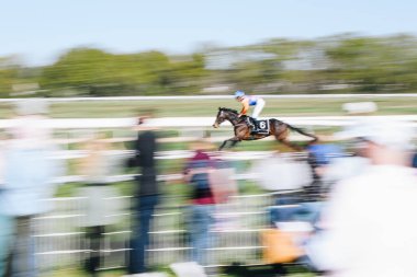 ALMANY, COLOGNE - 18 Nisan 2022: Atçılık FC-Renntag - Carl Jaspers Preis güneşli havalarda. 