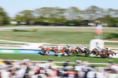 ALMANY, COLOGNE - 18 Nisan 2022: Atçılık FC-Renntag - Carl Jaspers Preis güneşli havalarda. 