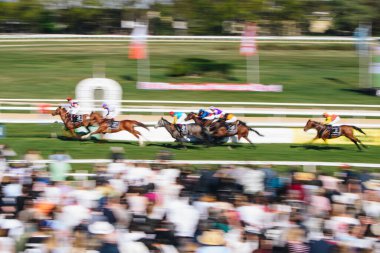 ALMANY, COLOGNE - 18 Nisan 2022: Atçılık FC-Renntag - Carl Jaspers Preis güneşli havalarda. 