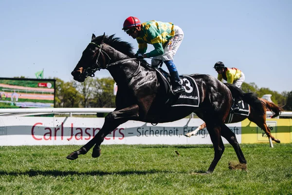 Germany Cologne April 2022 Horseracing Renntag Carl Jaspers Preis Під — стокове фото