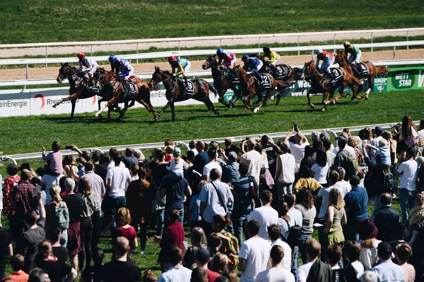 ALMANY, COLOGNE - 18 Nisan 2022: Atçılık FC-Renntag - Carl Jaspers Preis güneşli havalarda. 