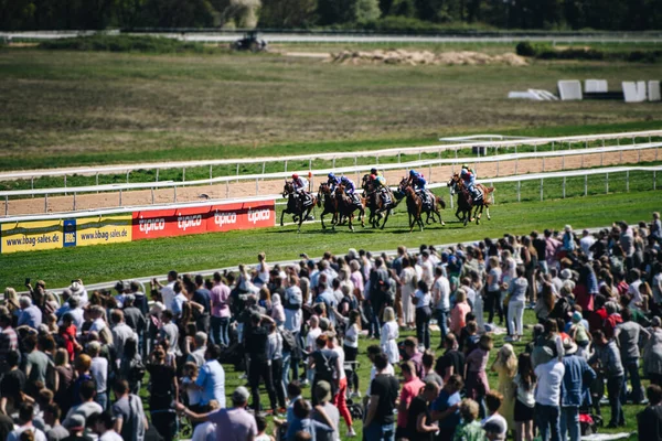 ALMANY, COLOGNE - 18 Nisan 2022: Atçılık FC-Renntag - Carl Jaspers Preis güneşli havalarda. 