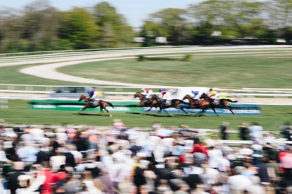 ALMANY, COLOGNE - 18 Nisan 2022: Atçılık FC-Renntag - Carl Jaspers Preis güneşli havalarda. 