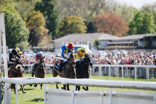 Cologne April 2022 Horseracing Renntag Carl Jaspers Preis Sunshine Weather — 스톡 사진