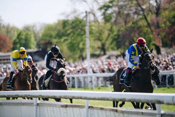 Cologne April 2022 Horseracing Renntag Carl Jaspers Preis Sunshine Weather — 스톡 사진