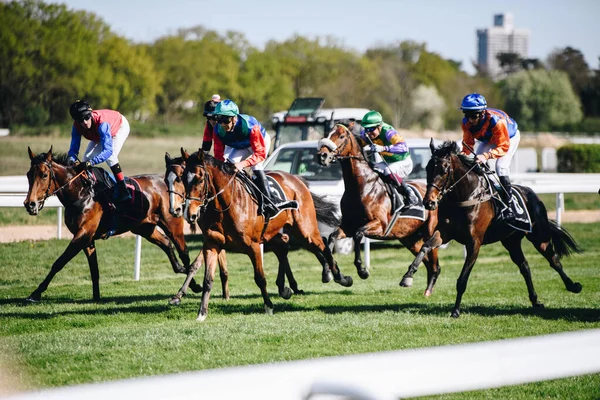 ALMANY, COLOGNE - 18 Nisan 2022: Atçılık FC-Renntag - Carl Jaspers Preis güneşli havalarda. 