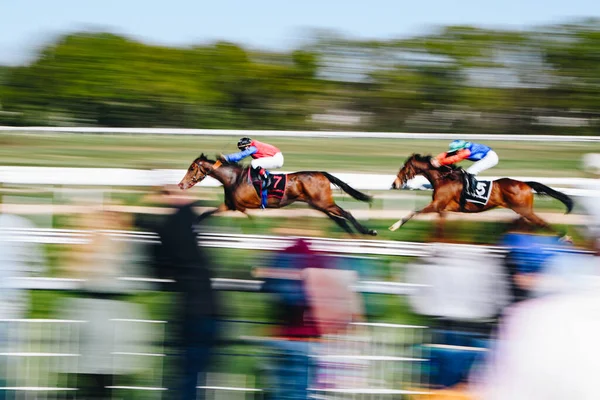 ALMANY, COLOGNE - 18 Nisan 2022: Atçılık FC-Renntag - Carl Jaspers Preis güneşli havalarda. 
