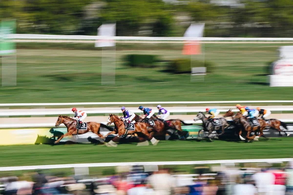 Alemania Cologne Abril 2022 Horseracing Renntag Carl Jaspers Preis Durante —  Fotos de Stock