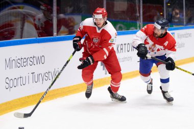 TYCHY, POLAND - 29 Nisan 2022: IIHF 2022 Buz Hokeyi Dünya Şampiyonası Div 1B Sırbistan - Polonya
