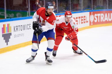TYCHY, POLAND - 29 Nisan 2022: IIHF 2022 Buz Hokeyi Dünya Şampiyonası Div 1B Sırbistan - Polonya