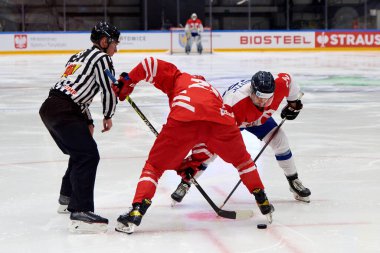 TYCHY, POLAND - 29 Nisan 2022: IIHF 2022 Buz Hokeyi Dünya Şampiyonası Div 1B Sırbistan - Polonya