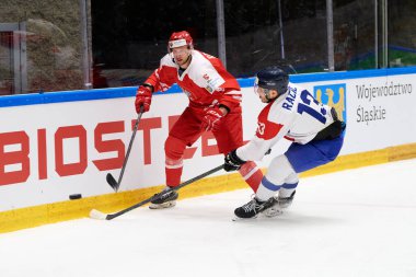TYCHY, POLAND - 29 Nisan 2022: IIHF 2022 Buz Hokeyi Dünya Şampiyonası Div 1B Sırbistan - Polonya