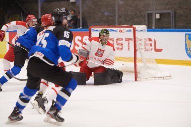 TYCHY, POLAND - 26 Nisan 2022: IIHF 2022 Buz Hokeyi Dünya Şampiyonası Div 1B Polonya - Estonya