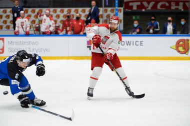 TYCHY, POLAND - 26 Nisan 2022: IIHF 2022 Buz Hokeyi Dünya Şampiyonası Div 1B Polonya - Estonya