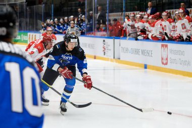 TYCHY, POLAND - 26 Nisan 2022: IIHF 2022 Buz Hokeyi Dünya Şampiyonası Div 1B Polonya - Estonya