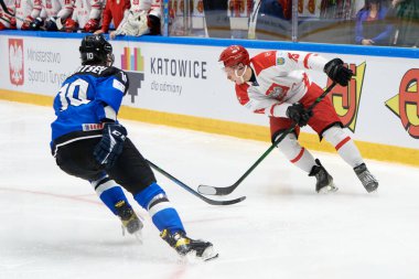 TYCHY, POLAND - 26 Nisan 2022: IIHF 2022 Buz Hokeyi Dünya Şampiyonası Div 1B Polonya - Estonya