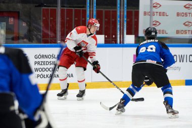 TYCHY, POLAND - 26 Nisan 2022: IIHF 2022 Buz Hokeyi Dünya Şampiyonası Div 1B Polonya - Estonya
