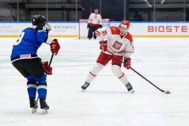 TYCHY, POLAND - 26 Nisan 2022: IIHF 2022 Buz Hokeyi Dünya Şampiyonası Div 1B Polonya - Estonya
