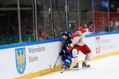 TYCHY, POLAND - 26 Nisan 2022: IIHF 2022 Buz Hokeyi Dünya Şampiyonası Div 1B Polonya - Estonya