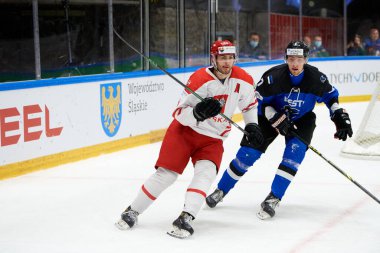TYCHY, POLAND - 26 Nisan 2022: IIHF 2022 Buz Hokeyi Dünya Şampiyonası Div 1B Polonya - Estonya