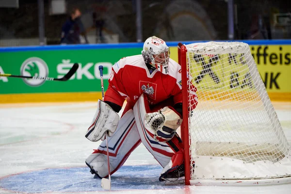TYCHY, POLAND - 29 Nisan 2022: IIHF 2022 Buz Hokeyi Dünya Şampiyonası Div 1B Sırbistan - Polonya