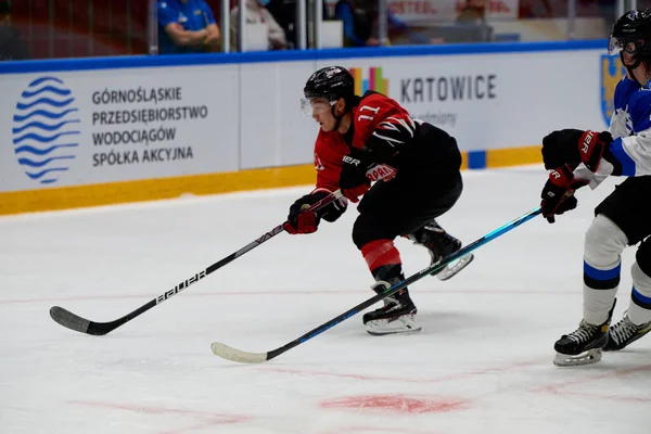 TYCHY, POLAND - 28 Nisan 2022: IIHF 2022 Buz Hokeyi Dünya Şampiyonası Div 1B Japonya - Estonya