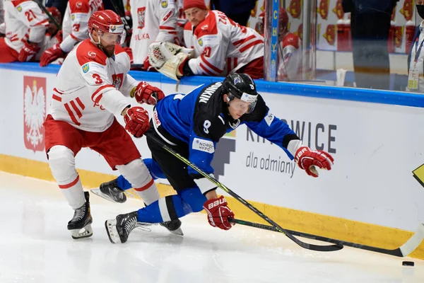 TYCHY, POLAND - 26 Nisan 2022: IIHF 2022 Buz Hokeyi Dünya Şampiyonası Div 1B Polonya - Estonya