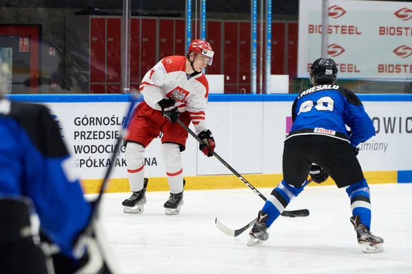 TYCHY, POLAND - 26 Nisan 2022: IIHF 2022 Buz Hokeyi Dünya Şampiyonası Div 1B Polonya - Estonya