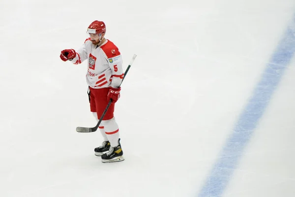 Tychy Polska Kwietnia 2022 Mecz Hokejowy Iihf 2022 Ice Hockey — Zdjęcie stockowe