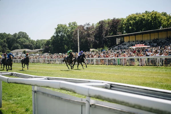 Cologne June 2022 Horseracing Feiertags Renntag Jubilumspreis — 스톡 사진