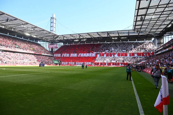 Koeln Germany August 2022 Rhein Energie Stadion Football Match Bundesliga —  Fotos de Stock