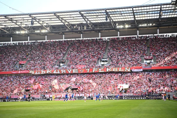 Koeln Germany August 2022 Rhein Energie Stadion Football Match Bundesliga — 스톡 사진