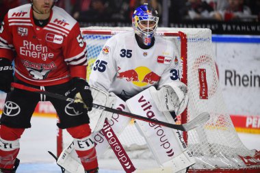 COLOGNE, Almanya - 15 Eylül 2022: Hokey maçı DEL Koelner Haie - EHC Red Bull Munchen