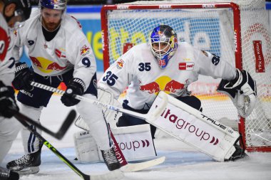 COLOGNE, Almanya - 15 Eylül 2022: Hokey maçı DEL Koelner Haie - EHC Red Bull Munchen