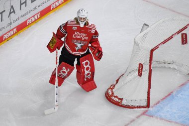COLOGNE, Almanya - 15 Eylül 2022: Hokey maçı DEL Koelner Haie - EHC Red Bull Munchen