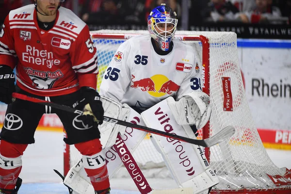 COLOGNE, Almanya - 15 Eylül 2022: Hokey maçı DEL Koelner Haie - EHC Red Bull Munchen