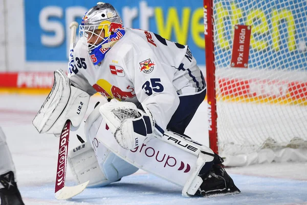 COLOGNE, Almanya - 15 Eylül 2022: Hokey maçı DEL Koelner Haie - EHC Red Bull Munchen