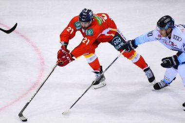 DUESSELDORF, Almanya - 16 Eylül 2022: Hokey maçı DEL Duesseldorfer EG - ERC Ingolstadt