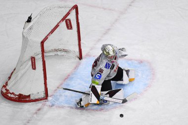 COLOGNE, GERMANY - 4 Ekim 2022: Hokey maçı DEL Koelner Haie - REV Bremerhaven (Fischtown Pinguins)