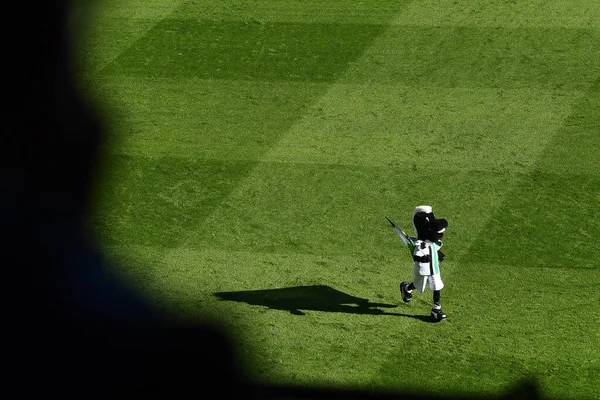 Moenchengladbach Alemanha Outubro 2022 Jogo Futebol Bundesliga Borussia Monchengladbach Koeln — Fotografia de Stock