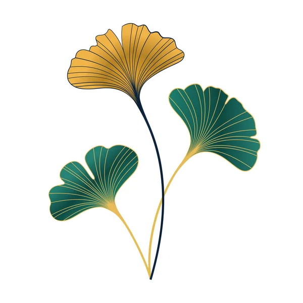 Minimalist Vector Illustration Yellow Green Leaves Ginkgo Biloba Tree White — Stock vektor
