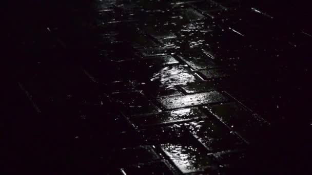 Deštivý Noční Vítr Dešťová Noc — Stock video