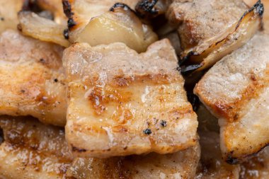 Pişir ve ye taze ve lezzetli Japon tavuğu.