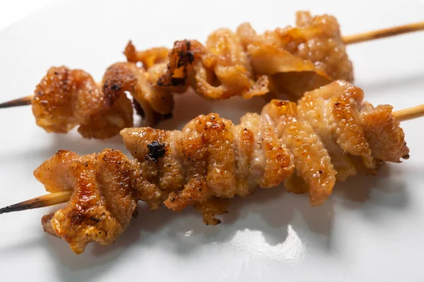Ψήστε Και Τρώνε Φρέσκα Και Νόστιμα Ιαπωνικά Κοτόπουλο — Φωτογραφία Αρχείου