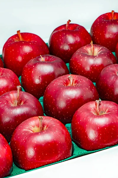 Fresh Apple Harvested Field — Stockfoto