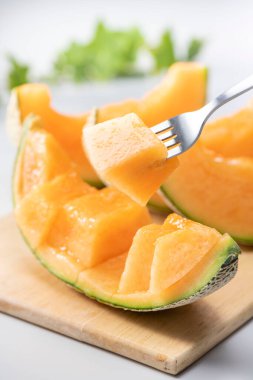 Lezzetli kavunları çiftçiler tarafından kaldırdı tarımı