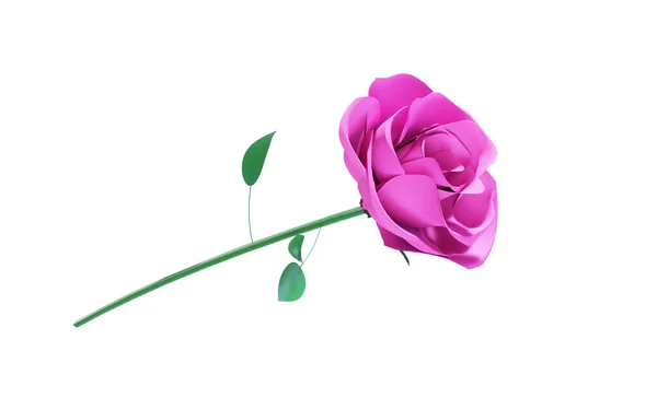 Virág Rózsa Rügyek Elszigetelt Fehér Háttérrel Rózsa Render — Stock Fotó