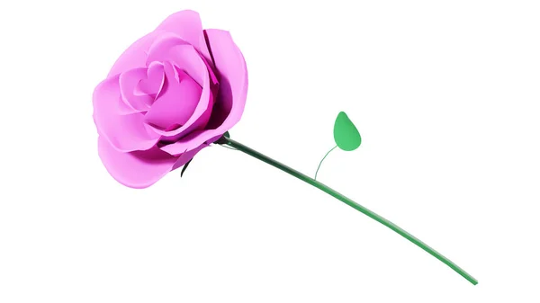 Flower Rose Bourgeons Isolés Sur Fond Blanc Roses Rendu — Photo