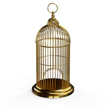 Budgie beyaz bir kafesin içinde tek başına.